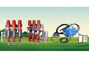 關(guān)于高壓負荷開(kāi)關(guān)前面雷爾沃電器已經(jīng)為大家整理了不少知識，不知道你對柱上負荷開(kāi)關(guān)有了解沒(méi)？如今在市場(chǎng)上比較常見(jiàn)的柱上負荷開(kāi)關(guān)主要是壓氣式負荷開(kāi)關(guān)以及真空負荷開(kāi)關(guān)，我們分別來(lái)為大家做一個(gè)比較簡(jiǎn)單的講解。